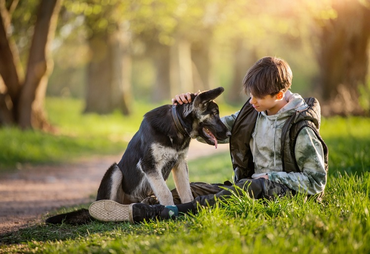 10 Signs Your Deceased Dog Is Still With You