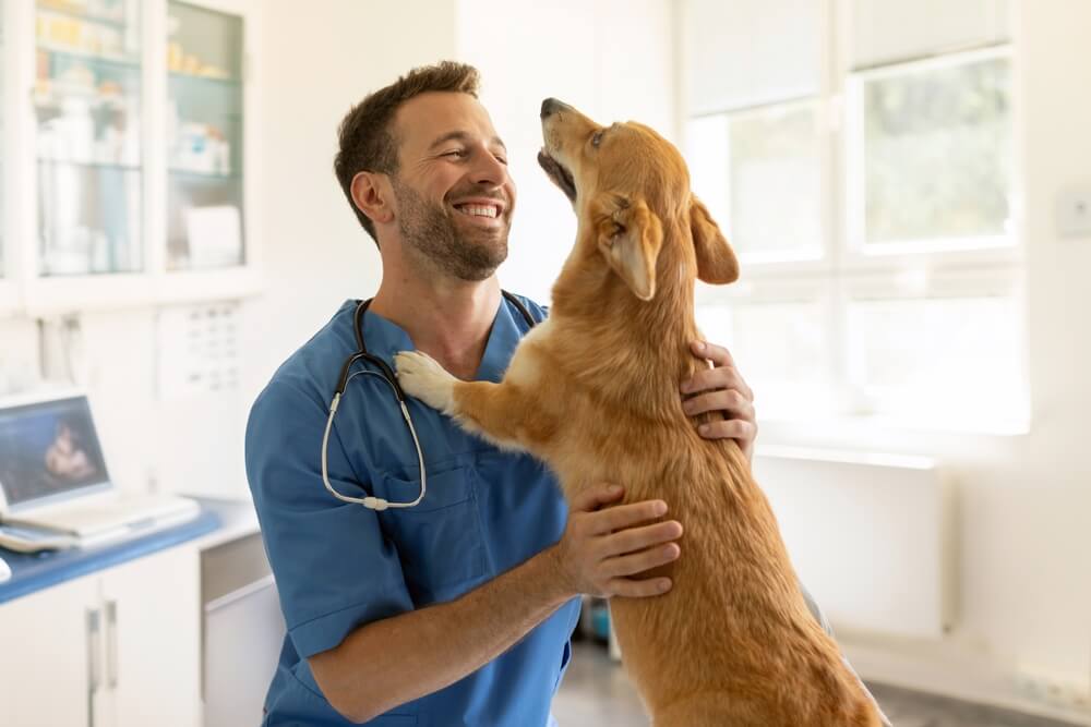 does-pet-insurance-cover-vet-visits-emergency-routine-care