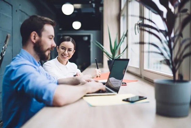 Web Hosting vs. Domain: What Business Owners Need to Understand