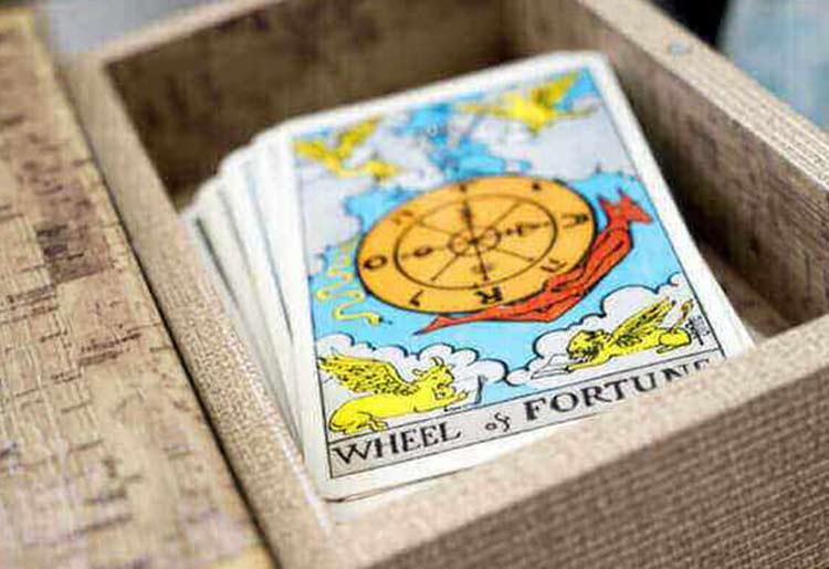 Want an Accurate Tarot Reading? Check out These Top Psychics