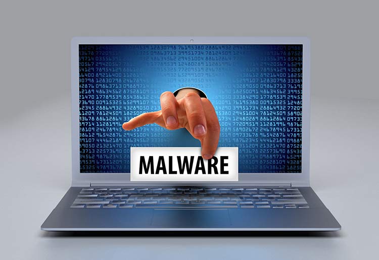 Malware 101: The Most Common Malware Types