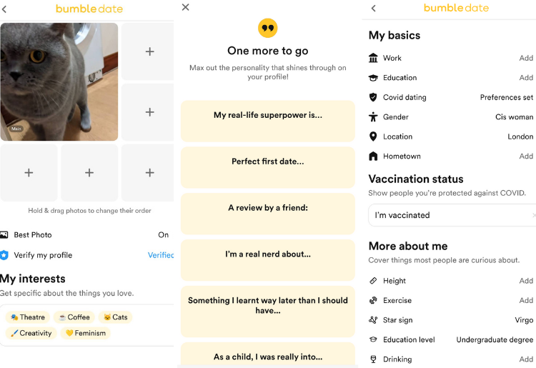 Bumble Dating Review - Setting Up