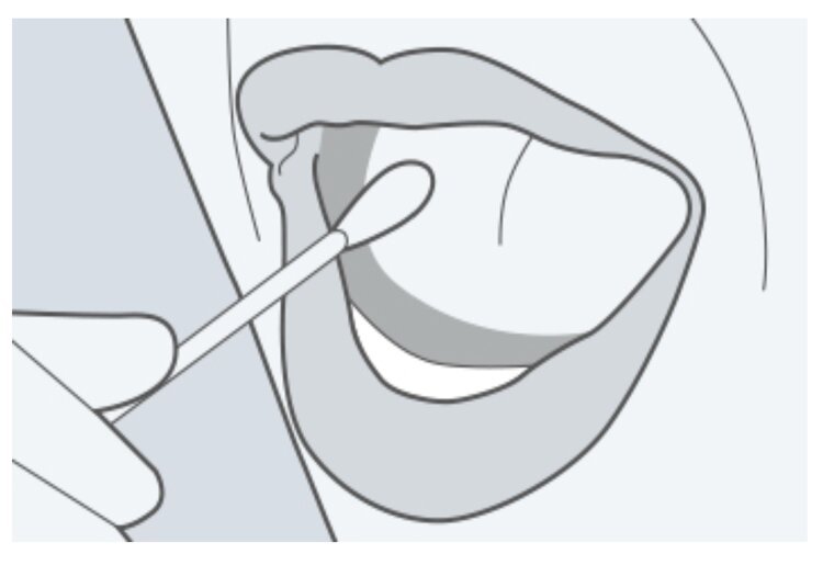 GenealogyBank DNA Testing Review - Collecting Samples