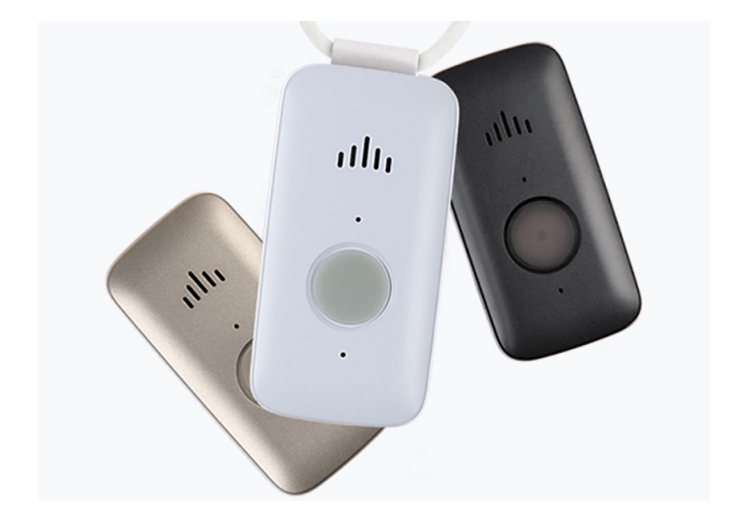 Mini Guardian Button