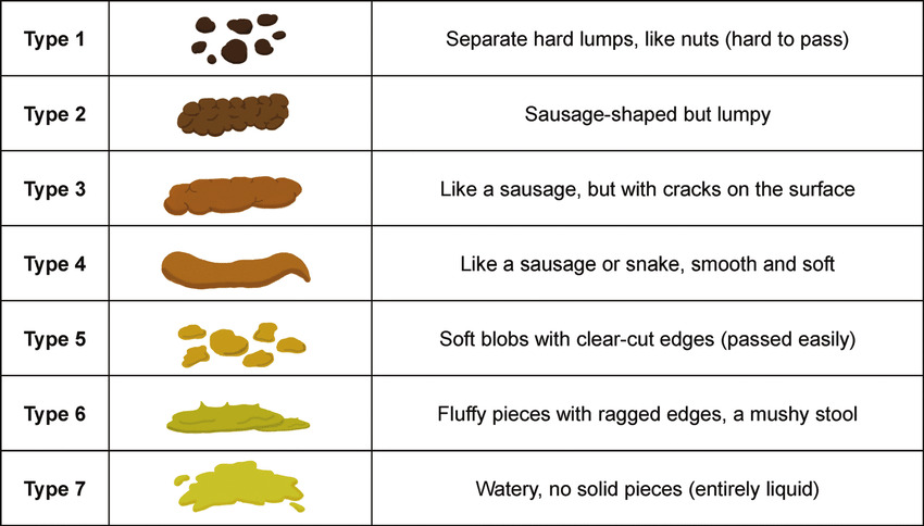 Bristol Stool Chart