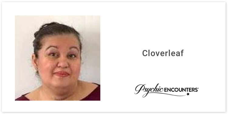 Cloverleaf Cloverleaf