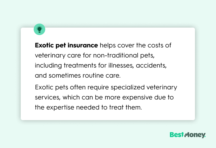 Exotic pet insurance helps cover the costs of veterinary care for non-traditional pets, including treatments for illnesses, accidents, and sometimes routine care.  Exotic pets often require specialized veterinary services, which can be more expensive due to the expertise needed to treat them. 