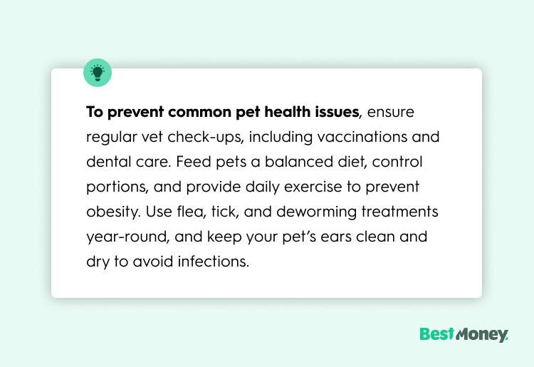 To prevent common pet health issues, ensure regular vet check-ups, including vaccinations and dental care. Feed pets a balanced diet, control portions, and provide daily exercise to prevent obesity. Use flea, tick, and deworming treatments year-round, and keep your pet’s ears clean and dry to avoid infections.