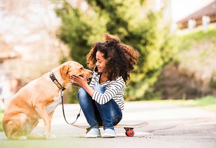 Hartville Pet Insurance Hartville Pet Insurance