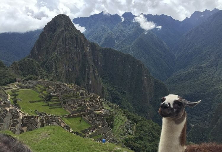 Machu Picchu
