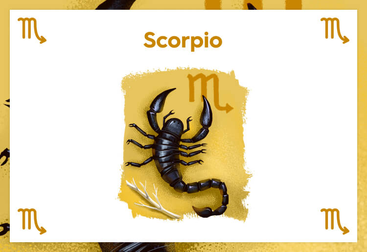Horoscope for Scorpio