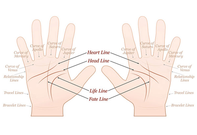 Palm Reading Chart Palm Reading Chart