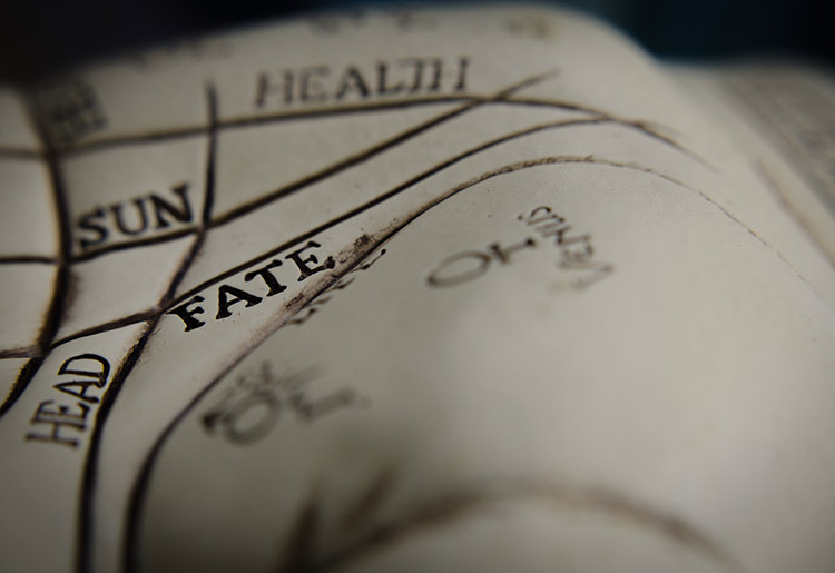 Fate line Palm reading guide, fate line