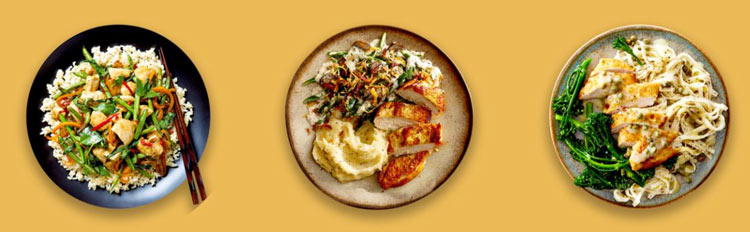 Gobble chicken dishes Gobble chicken dishes