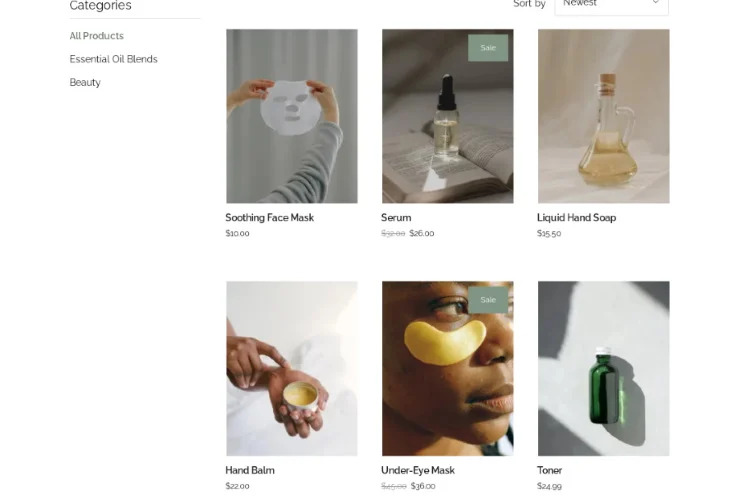 Go Daddy Online Store