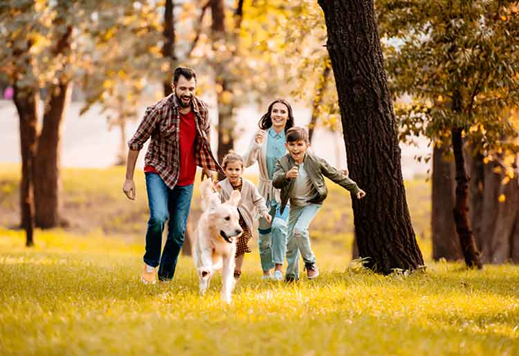 Health IQ Life Insurance Review Health IQ Life Insurance Review