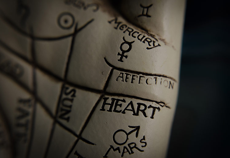 Heart line Palm reading guide, the heart line