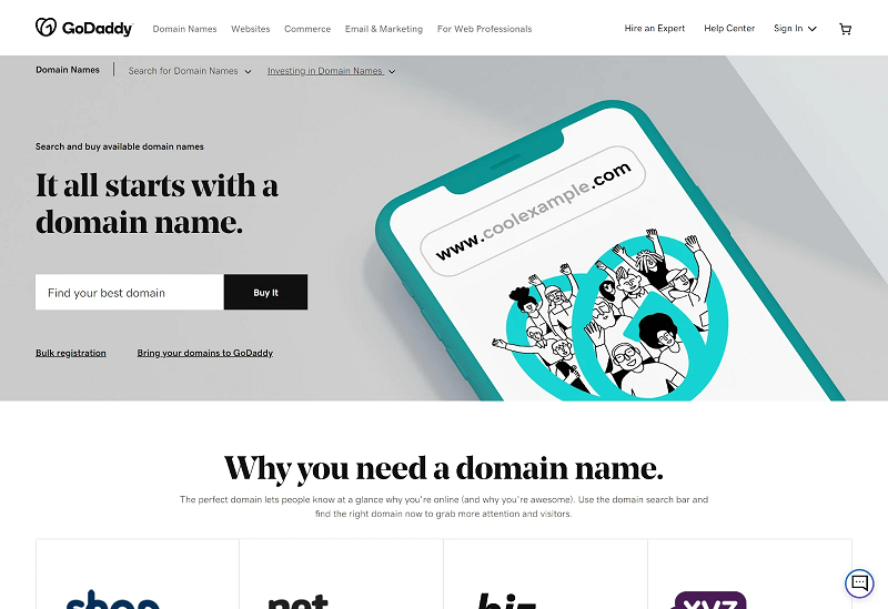 GoDaddy Domain Registrations