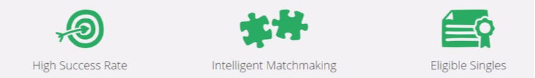 EliteSingles standards EliteSingles standards