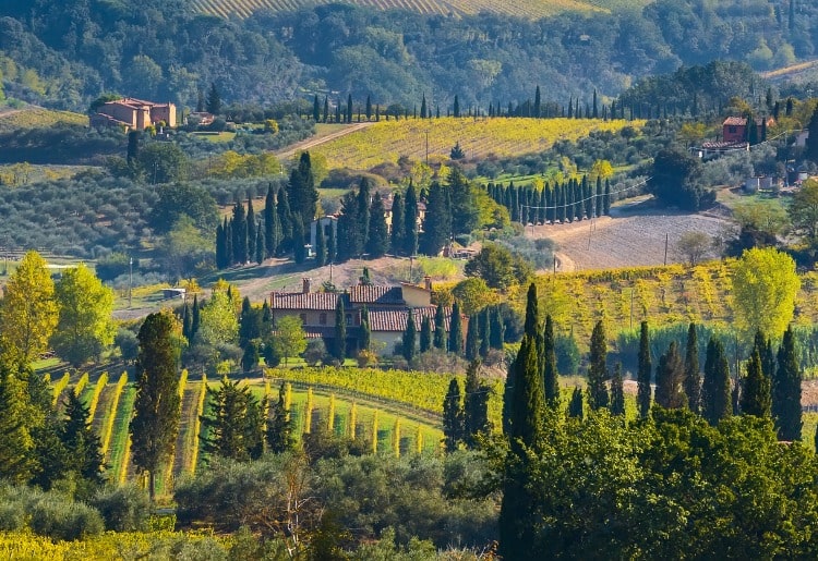 Wine regions of Tuscany