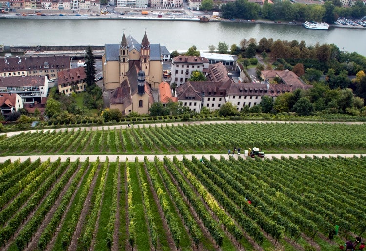Main River Vineyard
