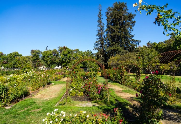 San Jose, California